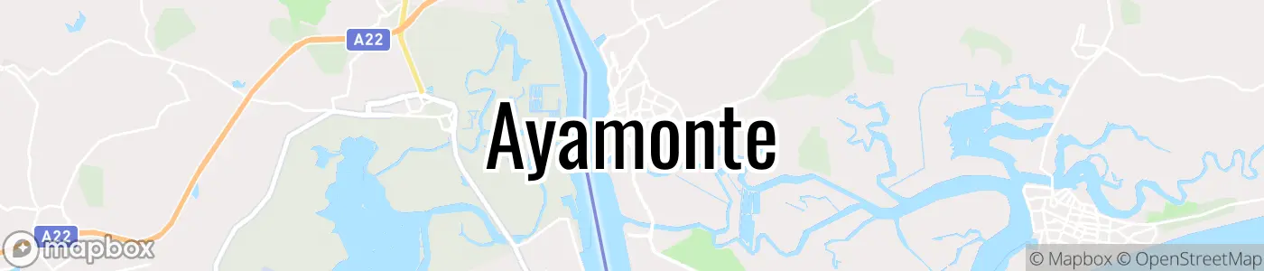 Header image