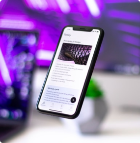 クーポン割引 66  %