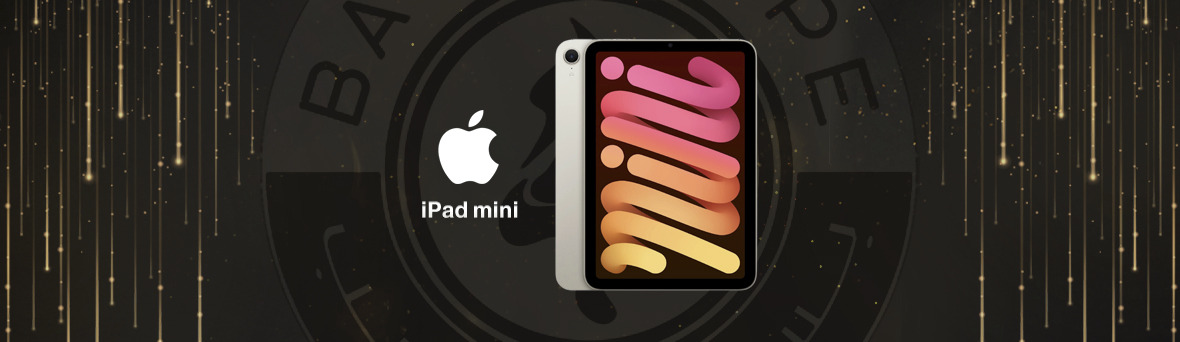 iPad mini