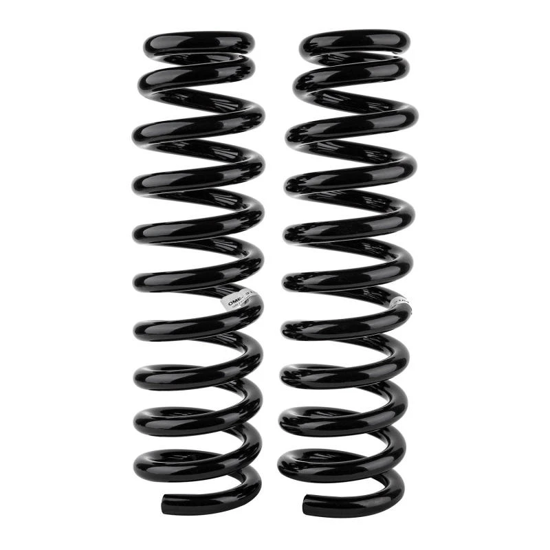 ARB / OME 09-18 Dodge Ram 1500 DS Federbein Vorne