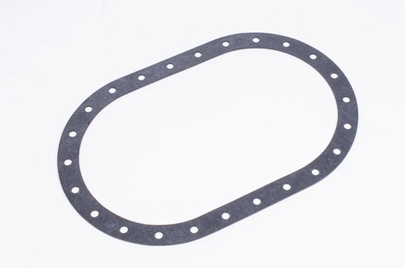 Radium Engineering Brennstoffzellen-Dichtung 6X10 24-Bolt