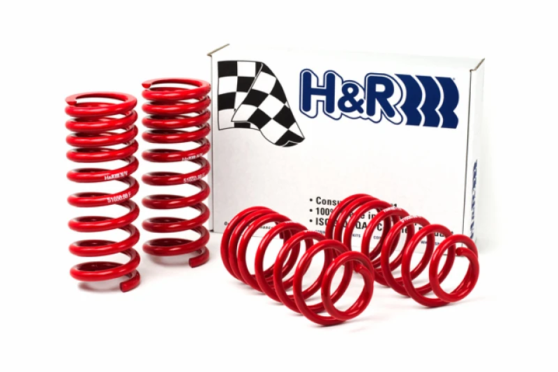 H&R 94-95 Ford Mustang/Mustang Cobra V8 Rennfeder