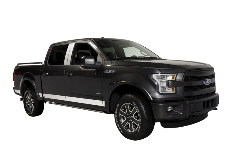 Putco 15-20 Ford F-150 Super Crew Cab 5.5ft Kurzer Kasten (4.25in Hoch - 12 Stück) SS Schwellerpanele