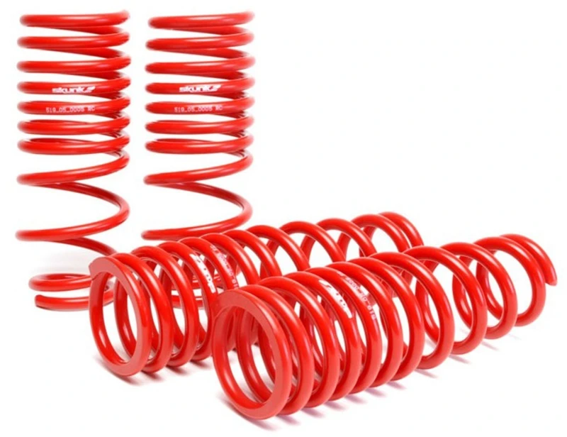 Skunk2 96-00 Honda Civic Tieferlegungsfedern (2,50 Zoll - 2,25 Zoll) (Satz von 4)