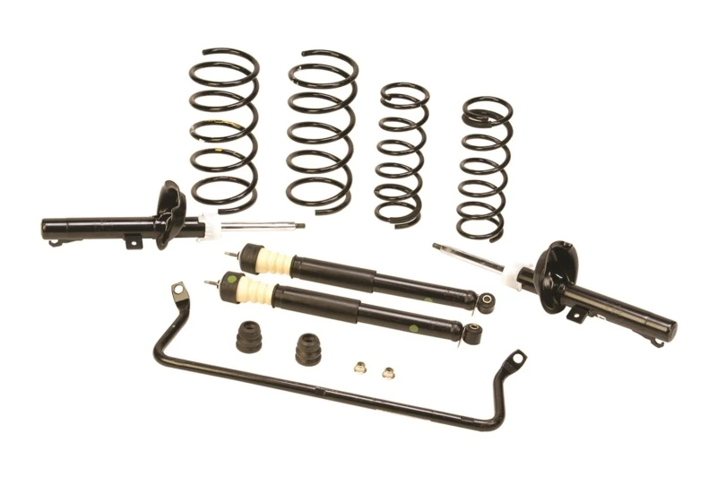 Ford Racing 2000-2005 Focus Federungskit