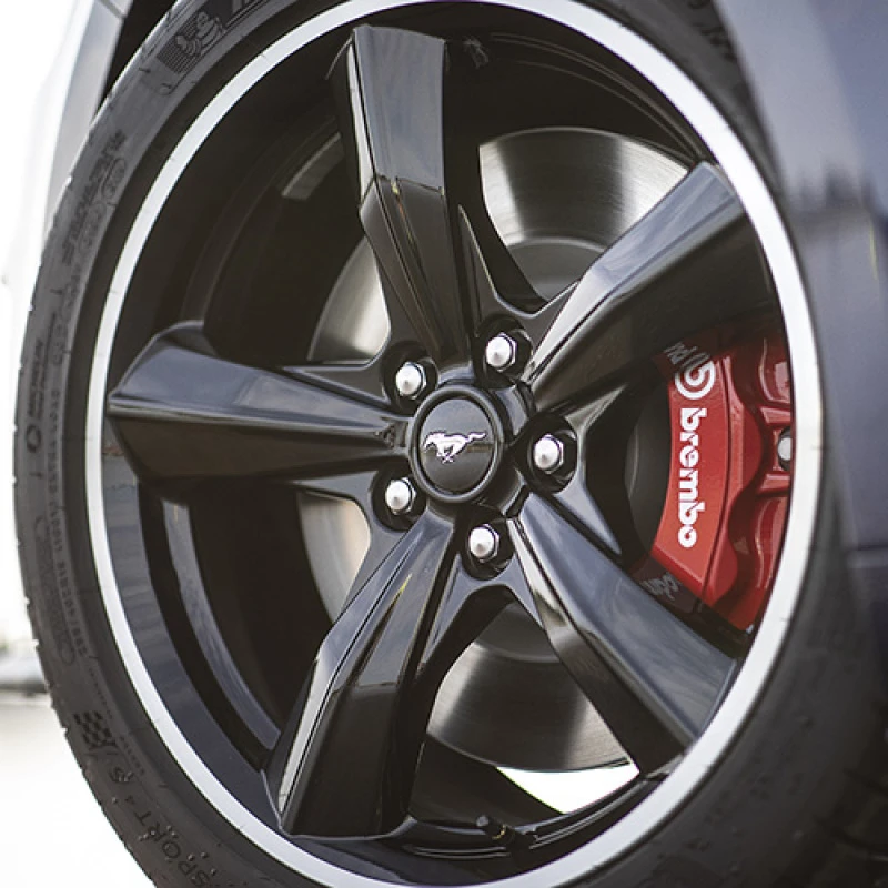 Ford Racing 15-20 Ford Mustang Bullitt Bremskit