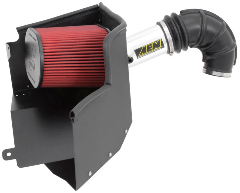 AEM 13-14 Dodge Ram 1500 5.7L V8 Brute Force Kalte Luftansaugung