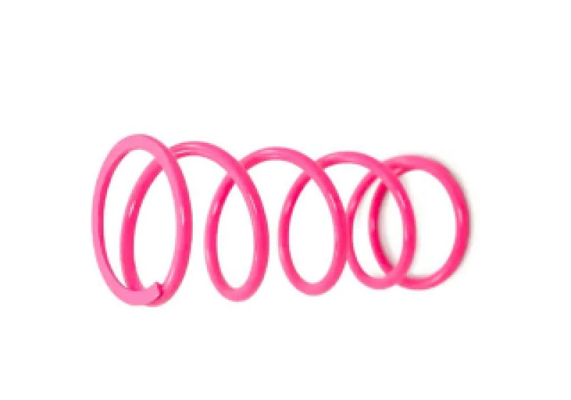 Dynojet Primärkupplungsfeder Hot Pink für 22-24 Can-Am Maverick X3