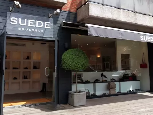 SUEDE