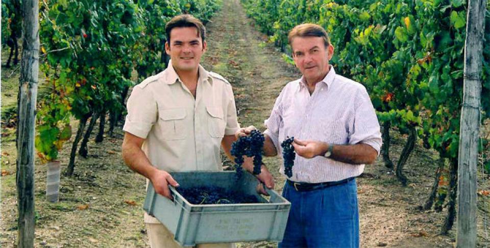 Le Chemin des Vignes