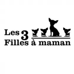 Les 3 Filles à Maman
