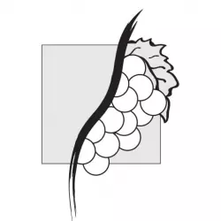 Le Chemin des Vignes