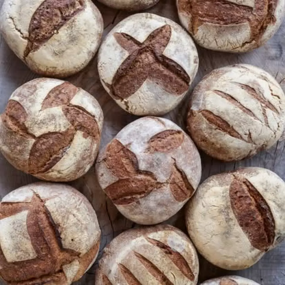 Le Pain Quotidien