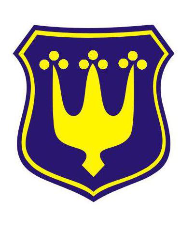 Logo 1
