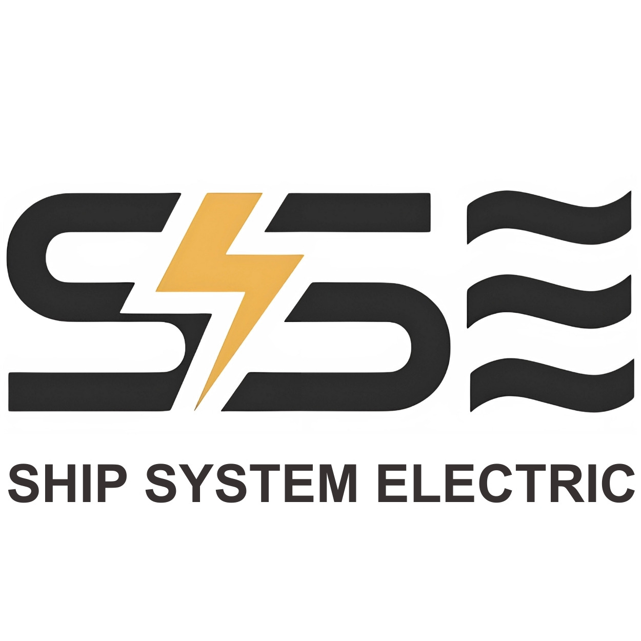 Ship System Electric Ltd logo