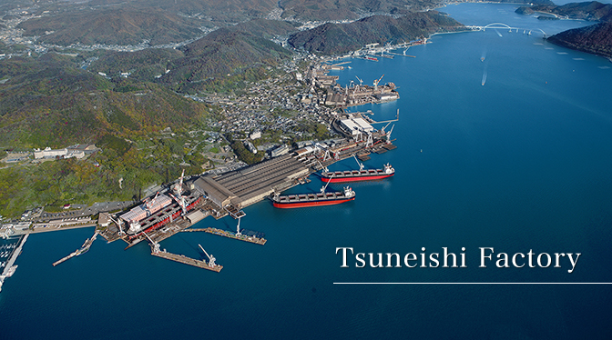 TSUNEISHI SHIPBUILDING CO.,LTD. TSUNEISHI SHIPBUILDING CO.,LTD.