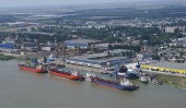 VARD BRAILA