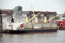 2410843.jpg