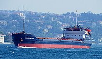 3819157.jpg