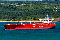 3421644.jpg