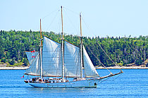 BLUE CLIPPER — Service Ship, built 1991
