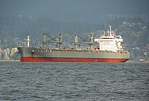 OCEAN FLOWING — Bulk Carrier, MARSHALL ISLANDS flag, built 2024