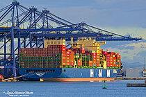 HMM LEAF — Container Ship, Panama flag, built 2025