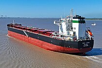 SEA LYRA — Bulk Carrier, Marshall Islands flag, built 2024