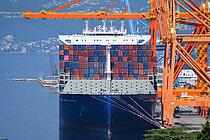 CMA CGM D'ARTAGNAN — Container Ship, MALTA flag, built 2026