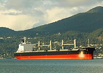 AFRICAN SANDPIPER — Bulk Carrier, Panama flag, built 2024