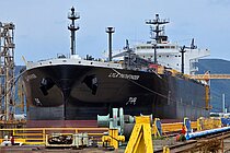 LYLA PATHFINDER