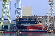 NORSE ZEALAND — Bulk Carrier, Panama flag, built 2025