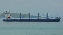 BELLE NATURE — Bulk Carrier, Panama flag, built 2025
