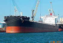 RISOLUTO — Bulk Carrier, Panama flag, built 2025
