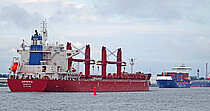 ARMERIA