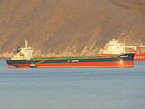 DOLPHIN GLORY — Vessel, PANAMA flag