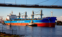 JNS DRAGON — Bulk Carrier, Hong Kong flag, built 2025