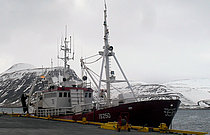 ISBORG