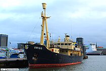 ORIGO — Passenger Ship, Dominica flag, built 1955