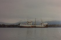 Polarsild