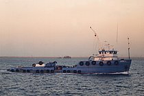 AHMED 2 — Offshore Vessel, United Arab Emirates flag, built 1971