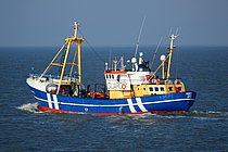 BOUNT — Offshore Vessel, VANUATU flag, built 1972