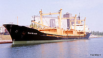 LUNA DEL MAR — Bulk Carrier, built 1975