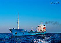 DANIA — Bulk Carrier, St.Kitts and Nevis flag, built 1976