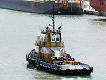 SAONA II