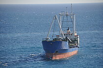 MICHALIS K