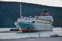 SEA ROSE 1 — Specialized Cargo Ship, St.Kitts and Nevis flag, built 1978