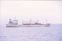 GOLDEN BRIDGE — General Cargo Ship, SAINT KITTS AND NEVIS flag, built 1981