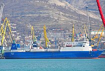 URAL — Ro Ro Cargo Ship, Cameroon flag, built 1980