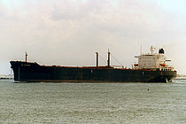 ZHEN 8